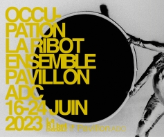 Occupation La Ribot Ensemble Pavillon ADC